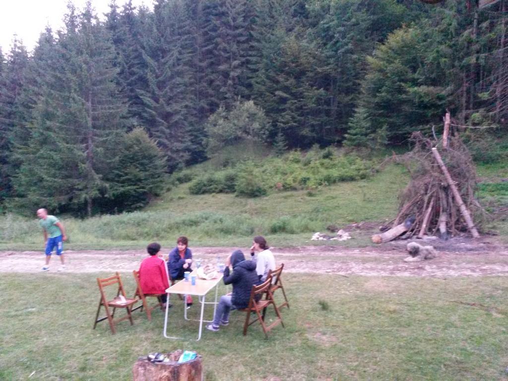 Cabana Pietricica Dîmbovicioara Eksteriør bilde