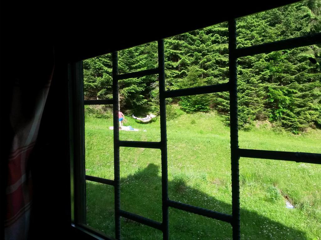 Cabana Pietricica Dîmbovicioara Eksteriør bilde