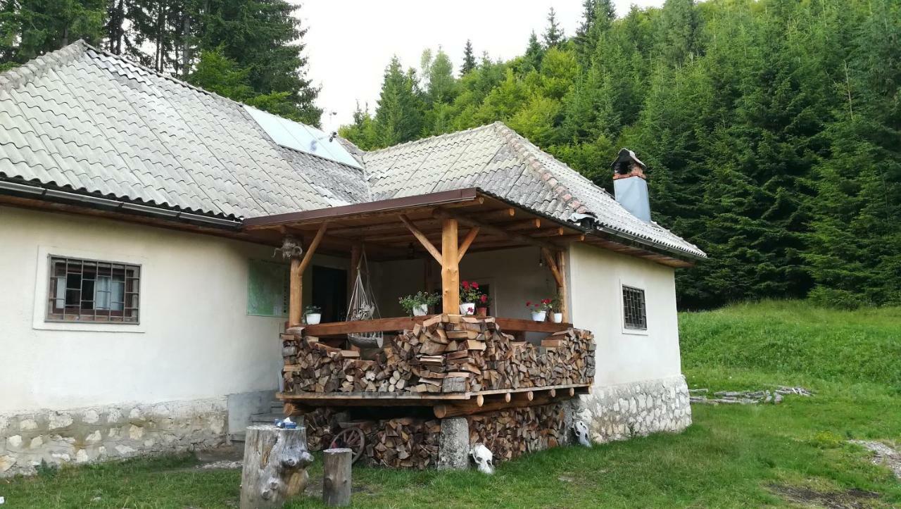 Cabana Pietricica Dîmbovicioara Eksteriør bilde