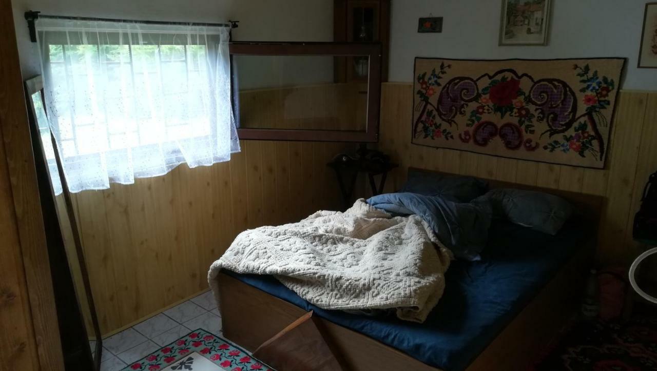 Cabana Pietricica Dîmbovicioara Eksteriør bilde