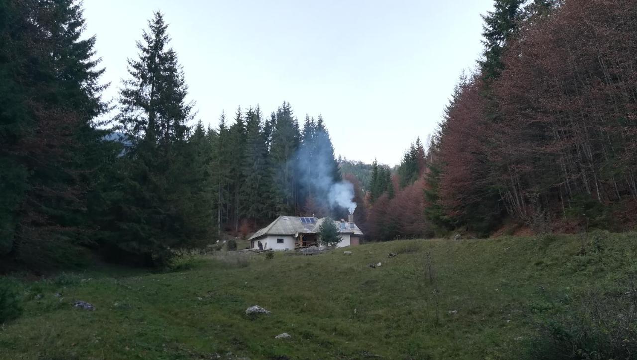 Cabana Pietricica Dîmbovicioara Eksteriør bilde